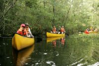 Do you know your watershed?